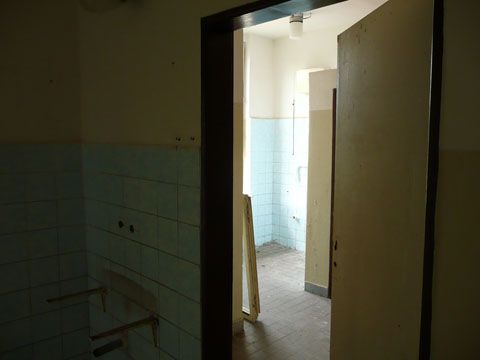 Foto 87